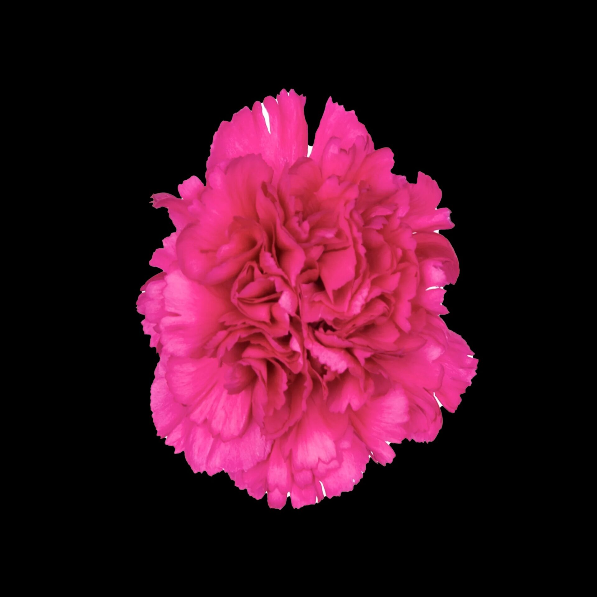 Image default