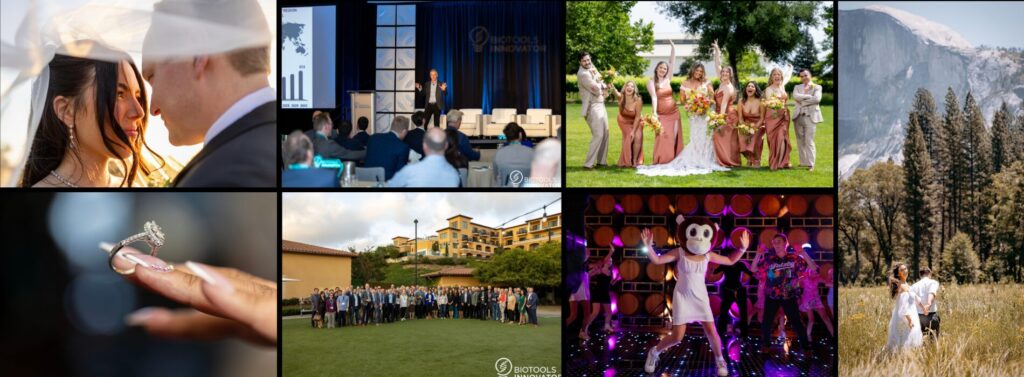 wedding videography